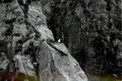Auke-Nu-Tours029