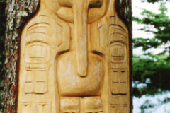 eagle_tree