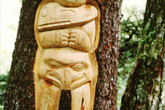 man_tree