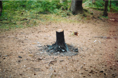 Echo-Cove-8-12-03_031