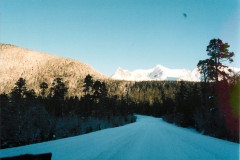 Echo-Cove-Log-Area-Jan-96_029