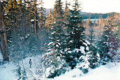 Echo-Cove-Log-Area-Jan-96_038