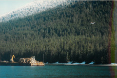 Echo-Cove-Logging-4-13-97_006