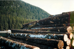 Echo-Cove-Logging-4-13-97_011