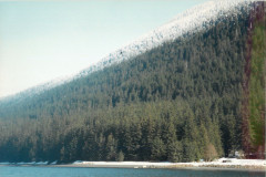 Echo-Cove-Logging-4-13-97_015