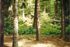 echo-cove-6-26-00-25