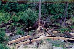 Hobart Bay 1995