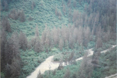 Lemon Creek