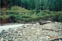 Lemon-Creek-Various_003