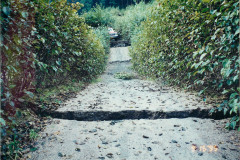 Lemon-Creek-Various_005