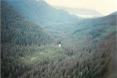 Lemon-Creek-Various_009