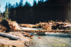 Lemon-Crk-Storm-Damag-Nov-98_003