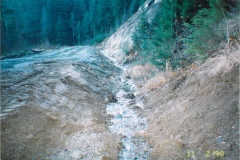 Lemon-Crk-Storm-Damag-Nov-98_017