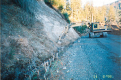 Lemon-Crk-Storm-Damag-Nov-98_024