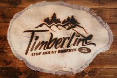 Juneau Alaska goldbelt tram marketing photos