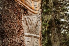 Juneau Alaska goldbelt tram marketing photos