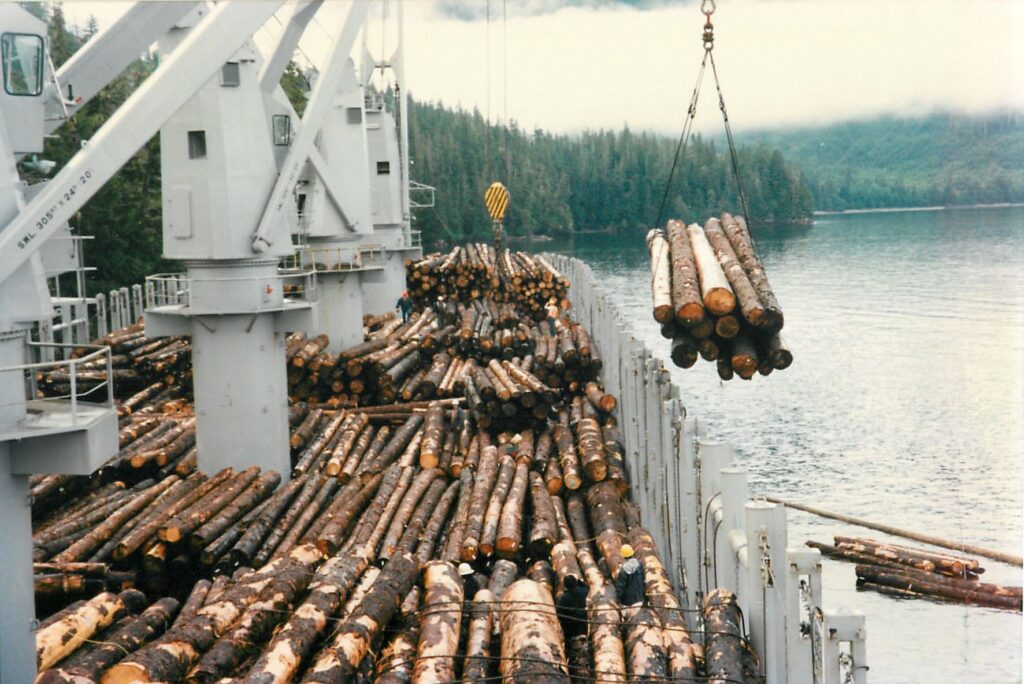 Development begins on Goldbelt’s properties at Hobart Bay